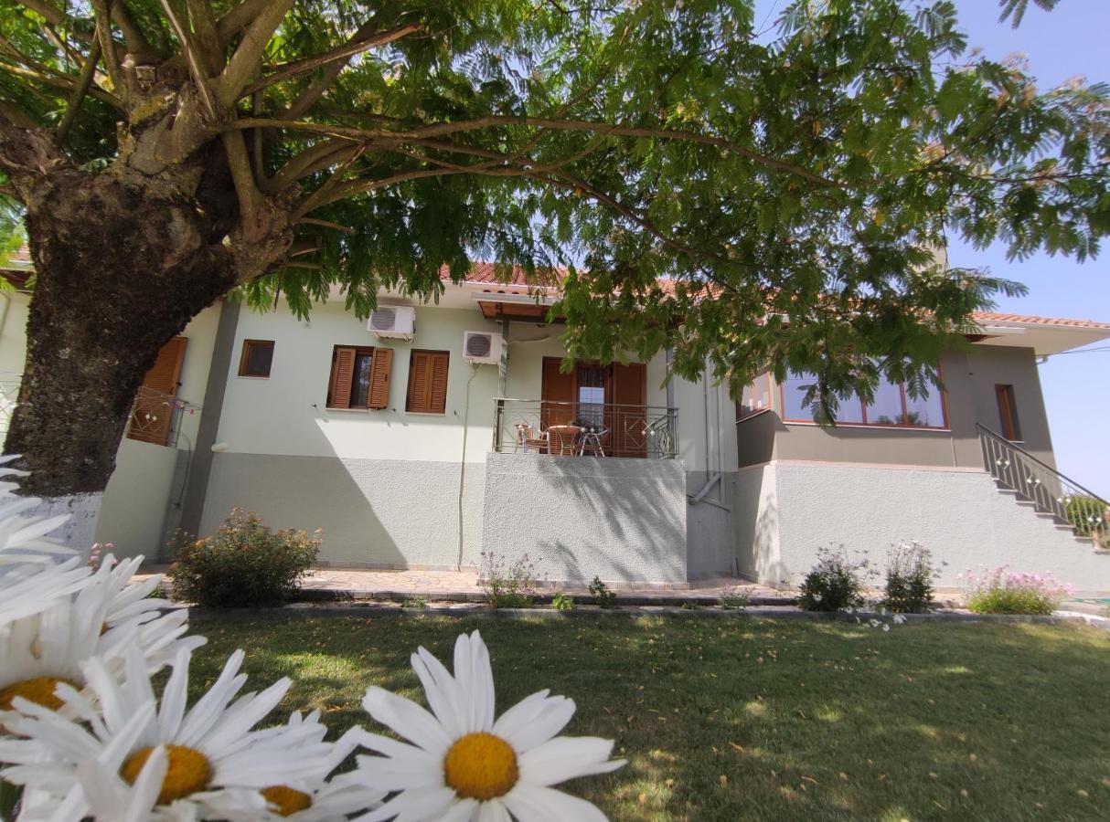 Zisis Garden Studios Ioannina Ngoại thất bức ảnh