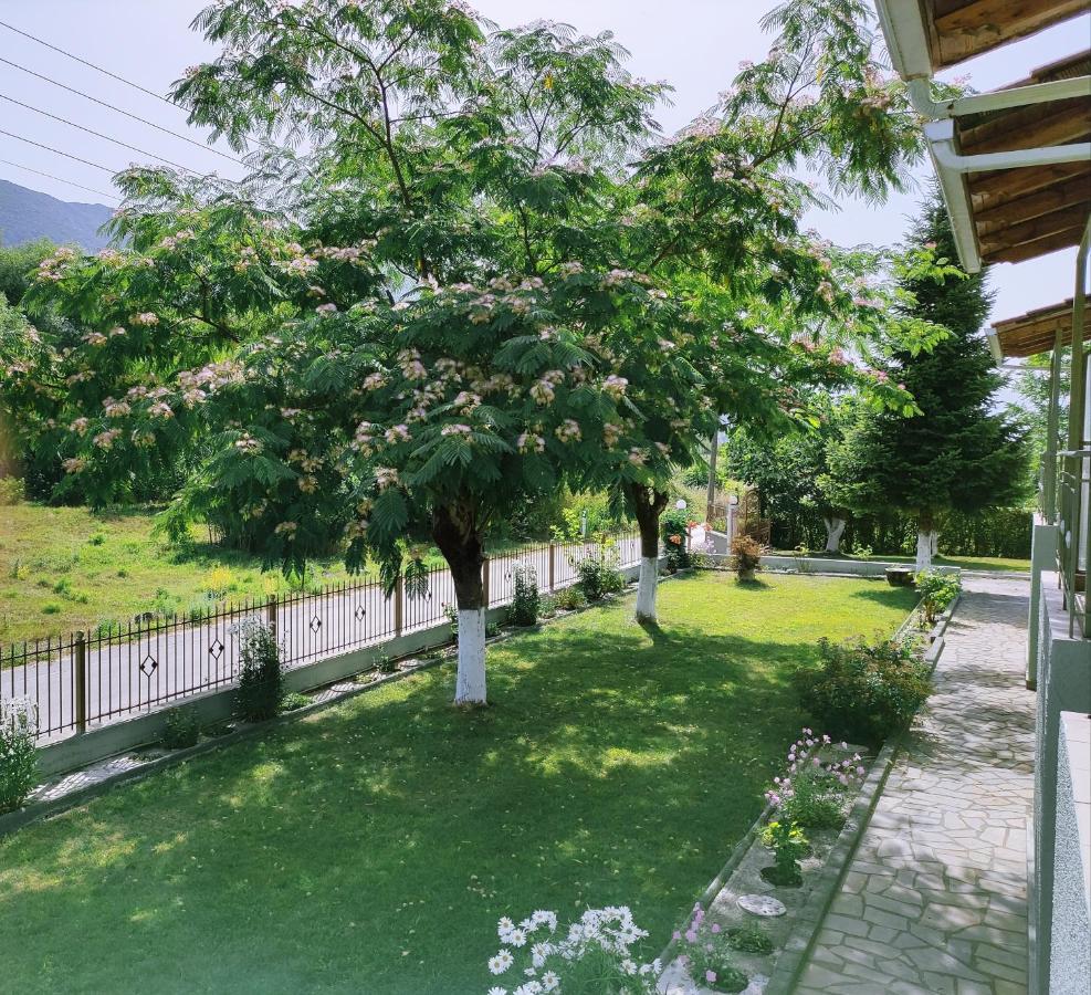 Zisis Garden Studios Ioannina Ngoại thất bức ảnh