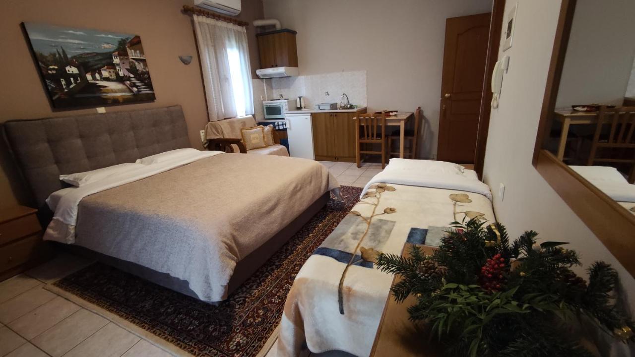 Zisis Garden Studios Ioannina Ngoại thất bức ảnh