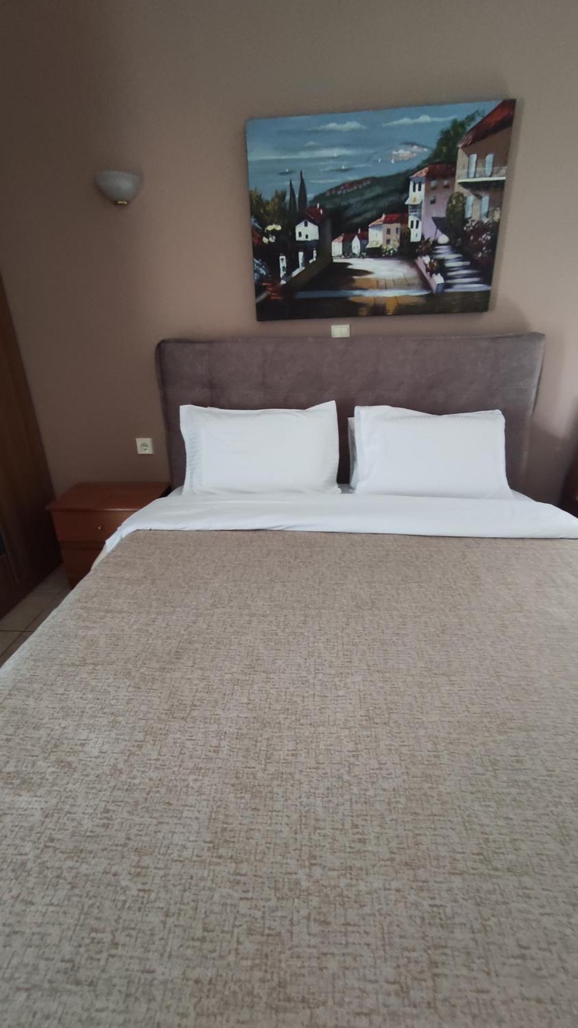 Zisis Garden Studios Ioannina Phòng bức ảnh