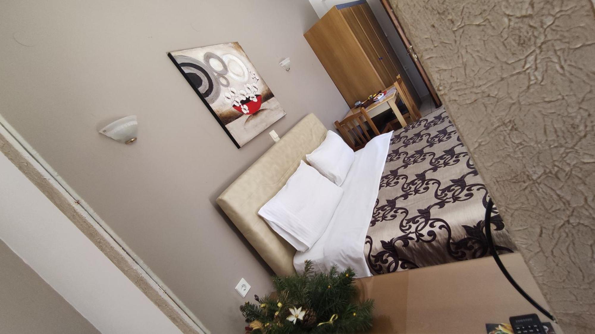 Zisis Garden Studios Ioannina Phòng bức ảnh