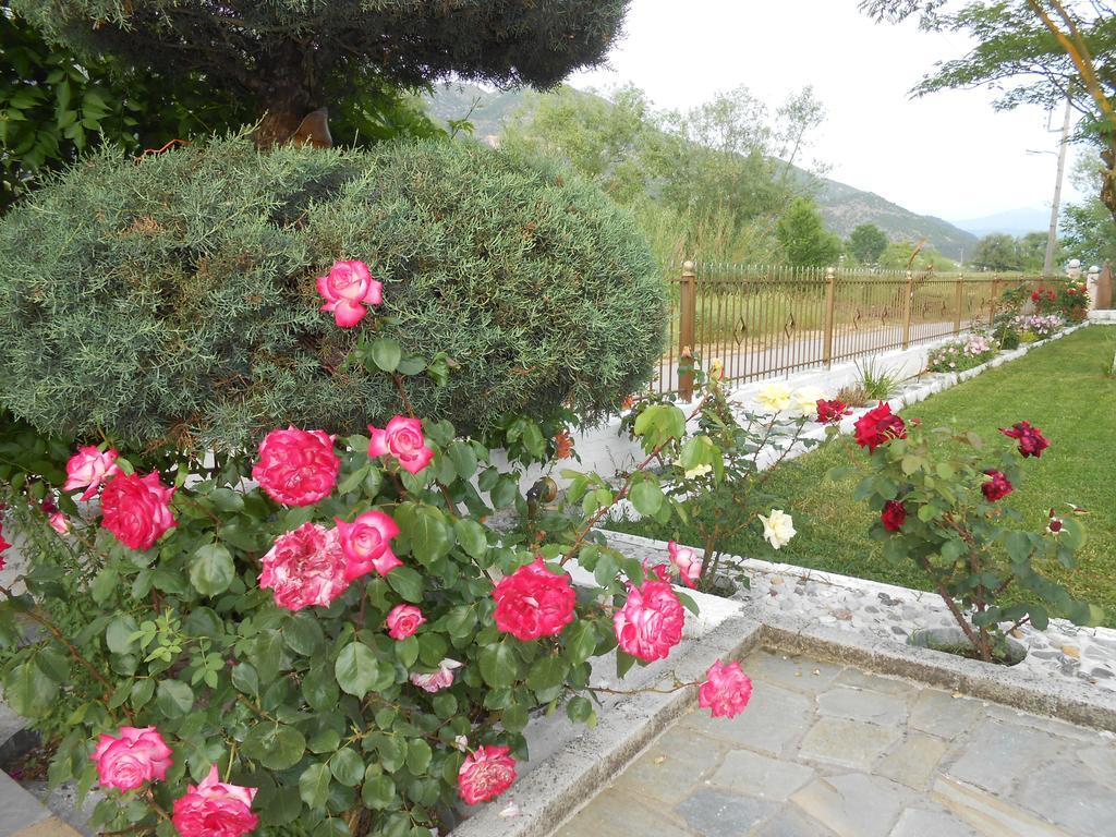 Zisis Garden Studios Ioannina Ngoại thất bức ảnh