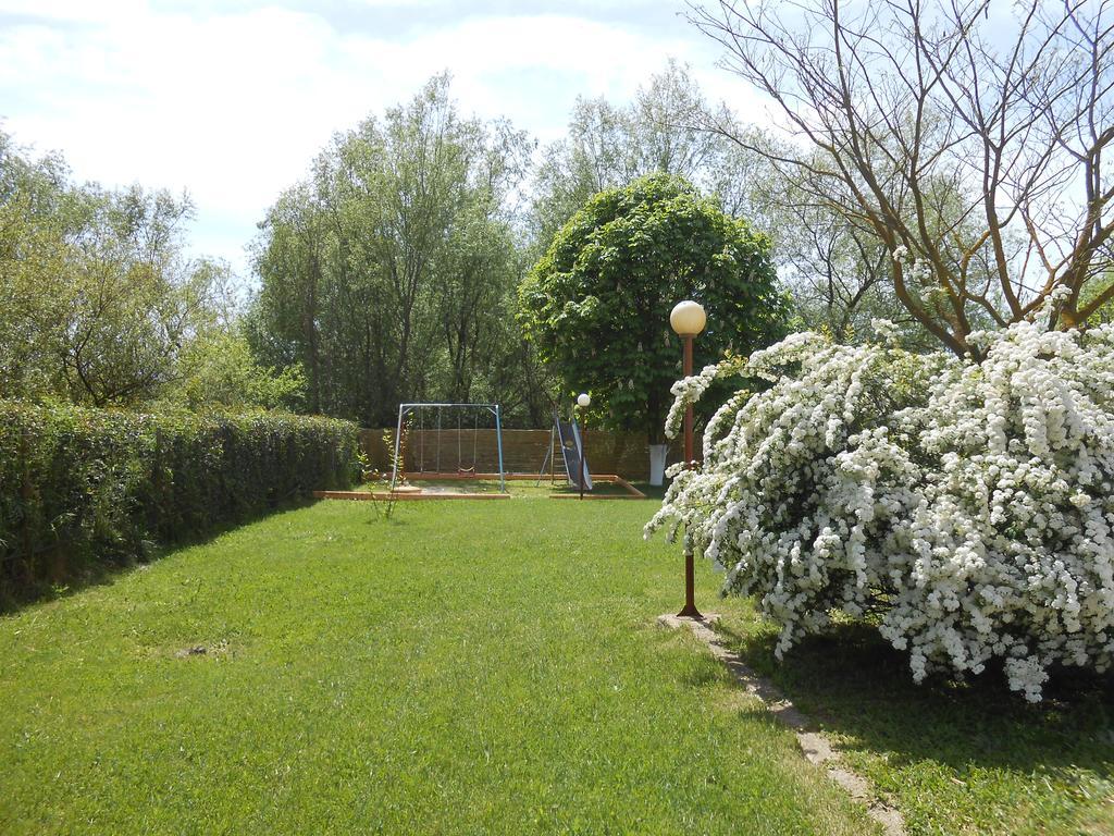 Zisis Garden Studios Ioannina Ngoại thất bức ảnh