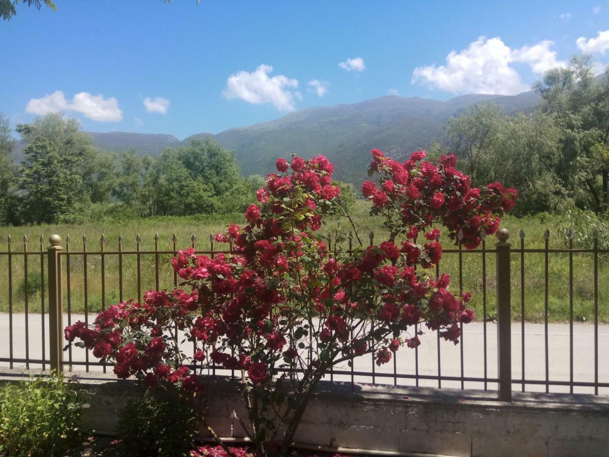 Zisis Garden Studios Ioannina Ngoại thất bức ảnh