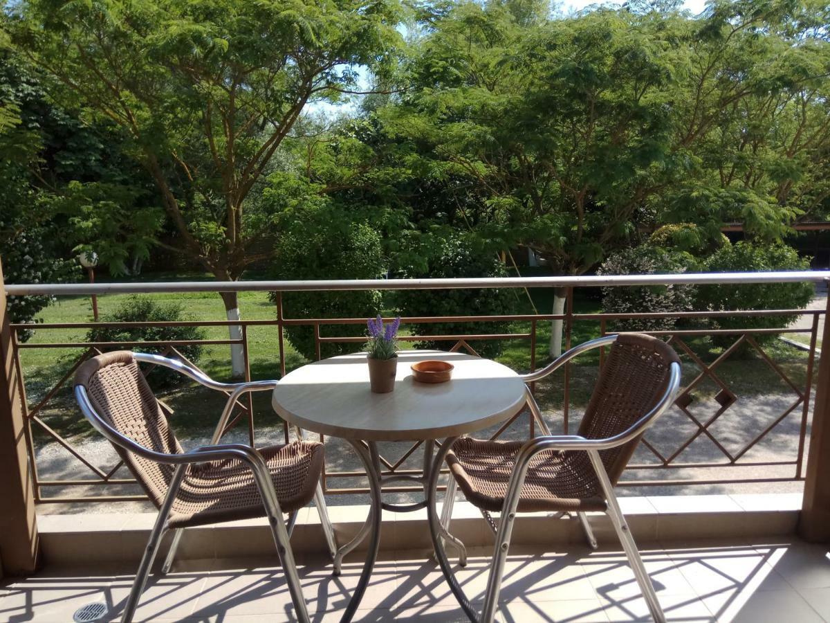 Zisis Garden Studios Ioannina Ngoại thất bức ảnh